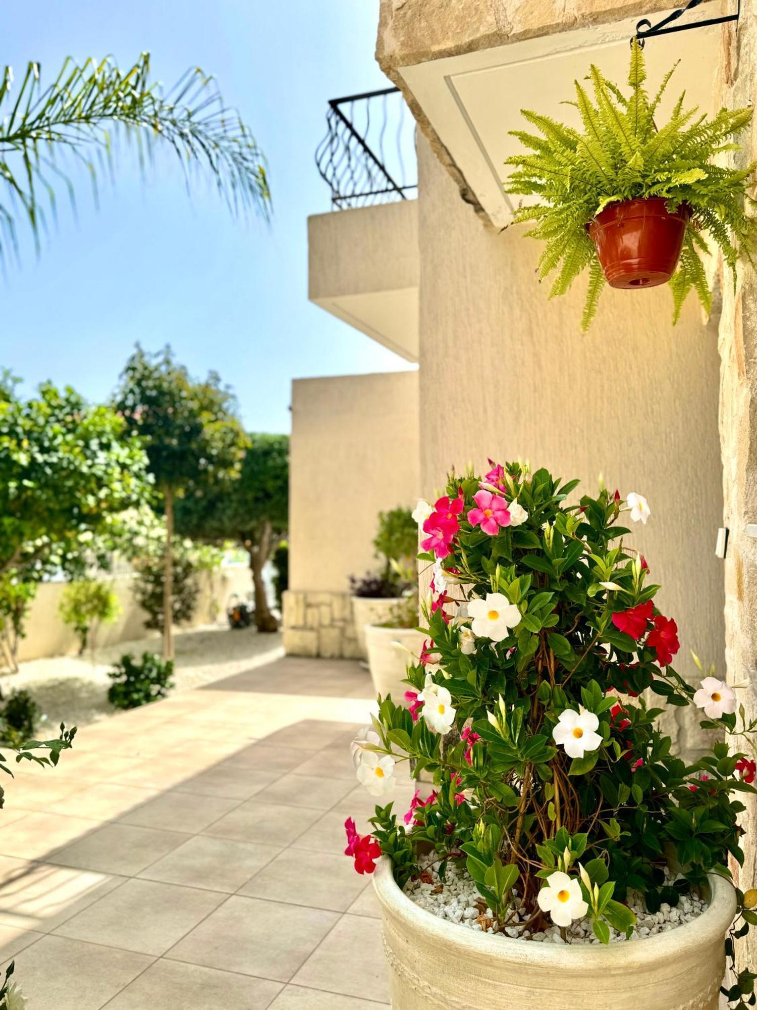 Villa Hermine Paphos Konia Экстерьер фото